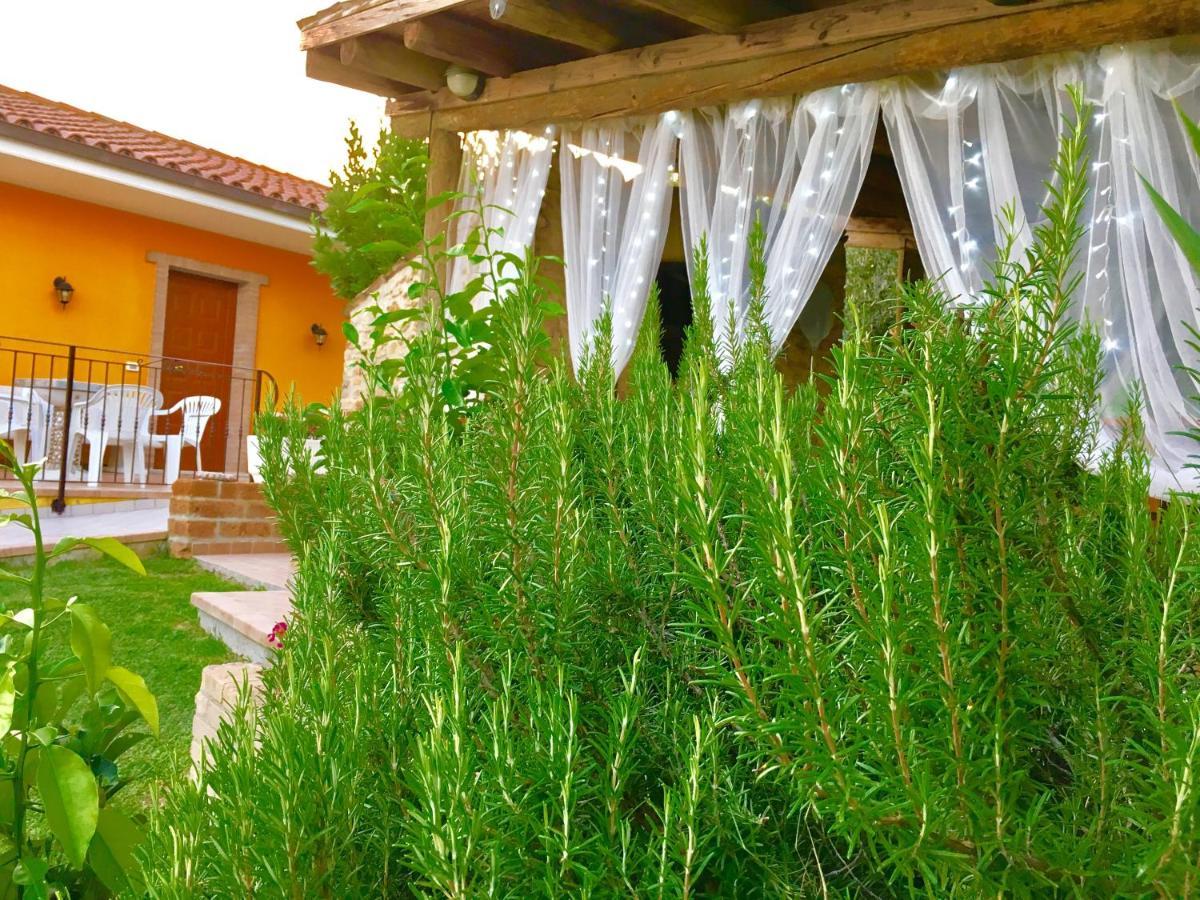 Chalet Negli Ulivi Silvi Paese Exterior foto